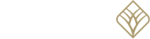 20-20.png